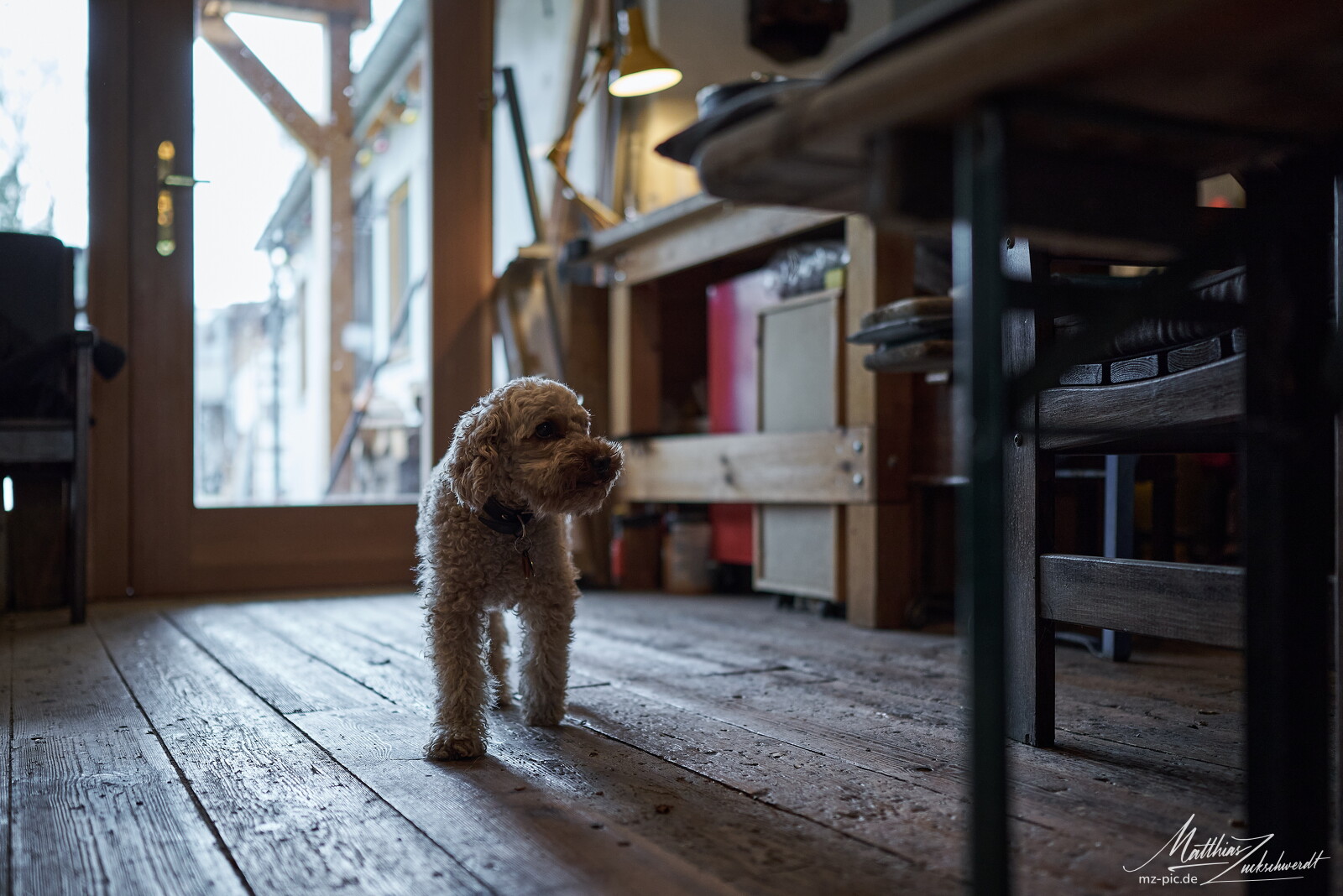 matinee-23-03-05-13-27-40.jpg