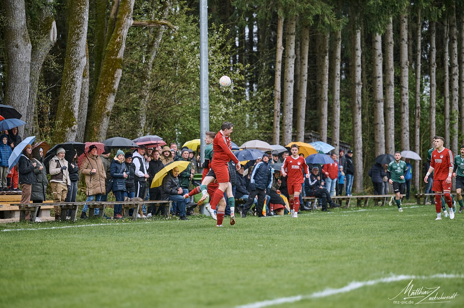 svl-svl-24-04-01-13-03-53.jpg
