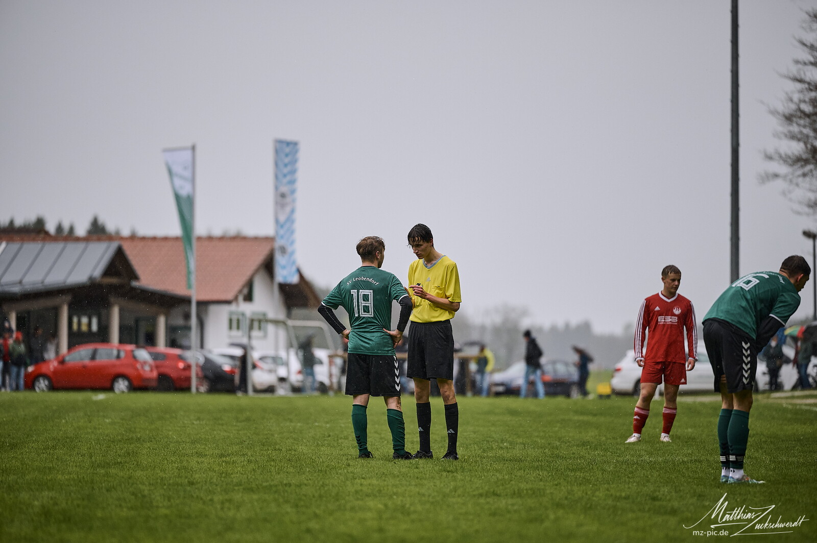 svl-svl-24-04-01-13-19-43.jpg