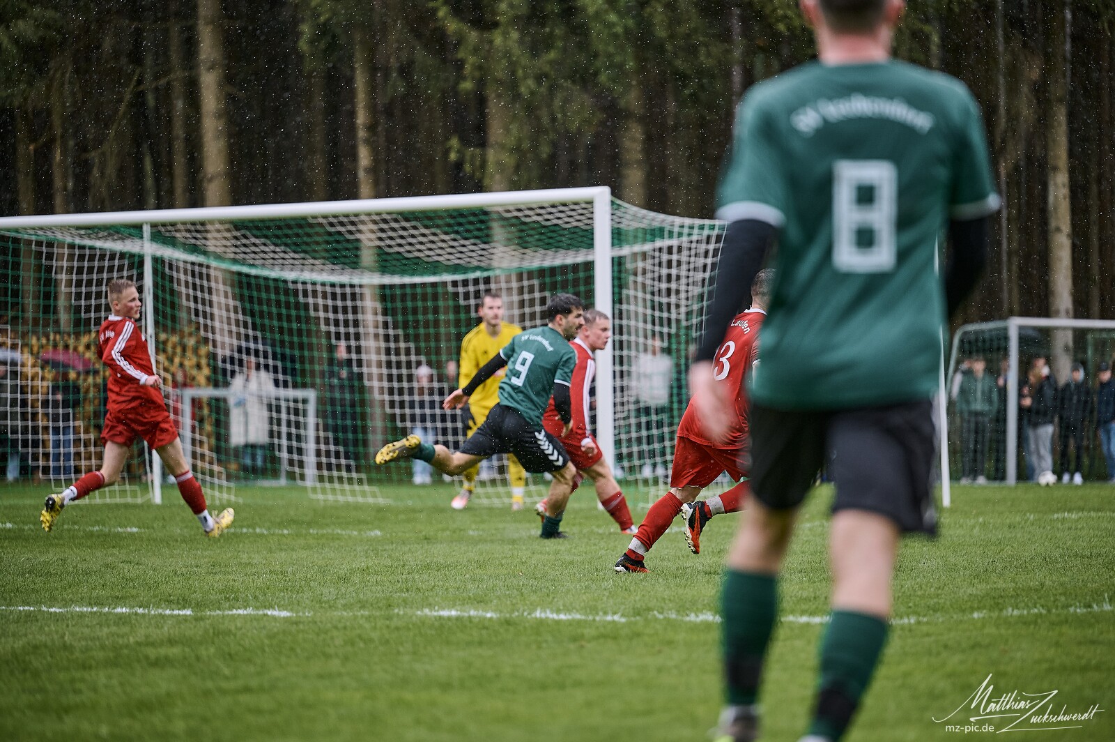 svl-svl-24-04-01-13-40-13.jpg