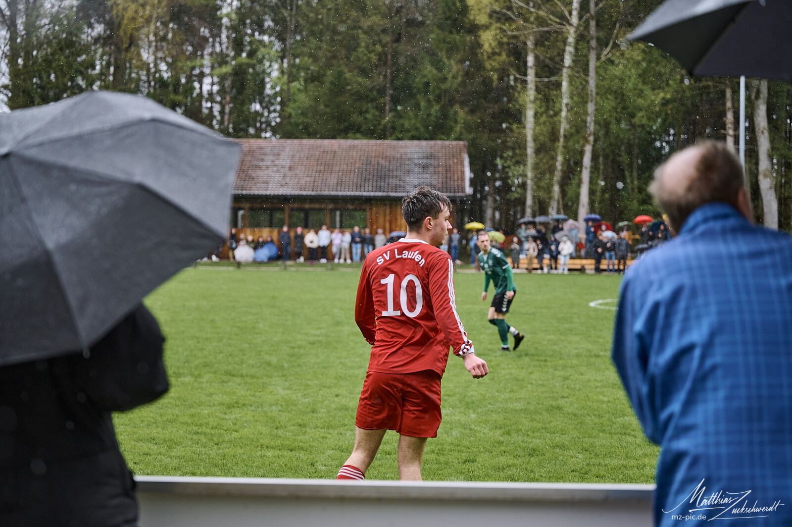 svl-svl-24-04-01-14-02-50.jpg