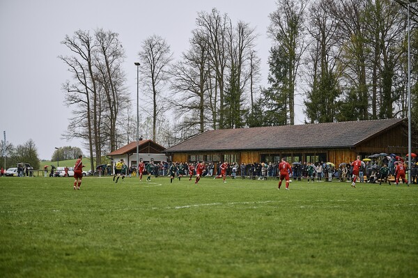 svl-svl-24-04-01-14-08-11