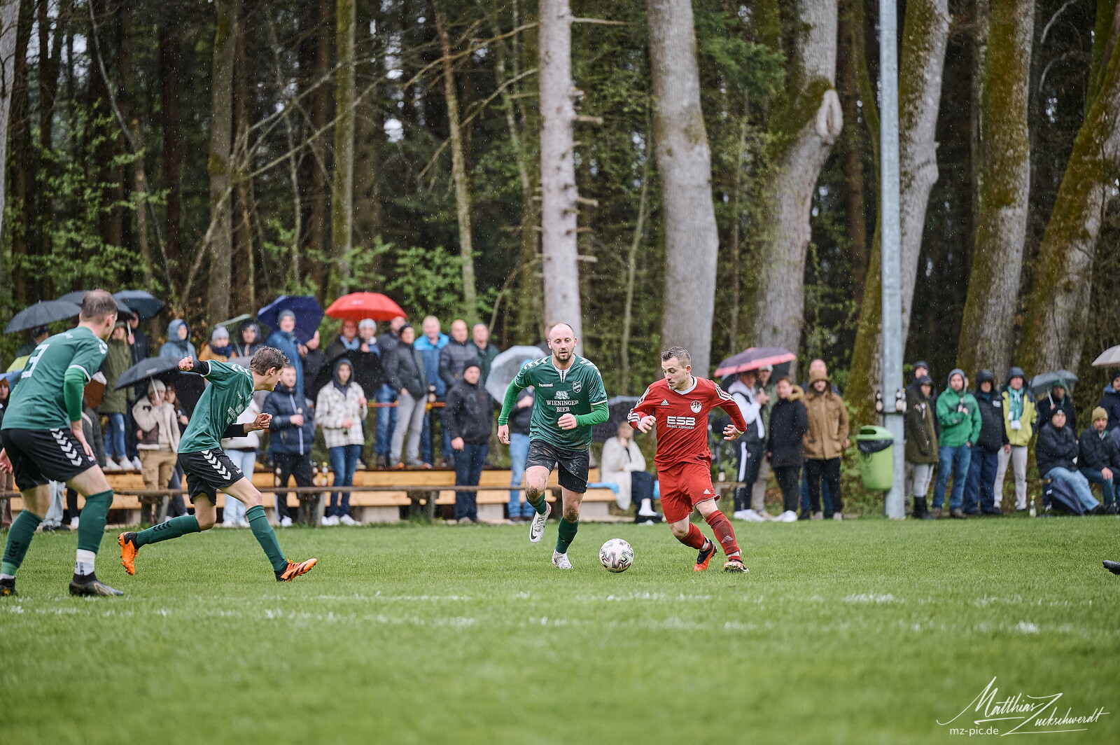 svl-svl-24-04-01-14-36-31.jpg
