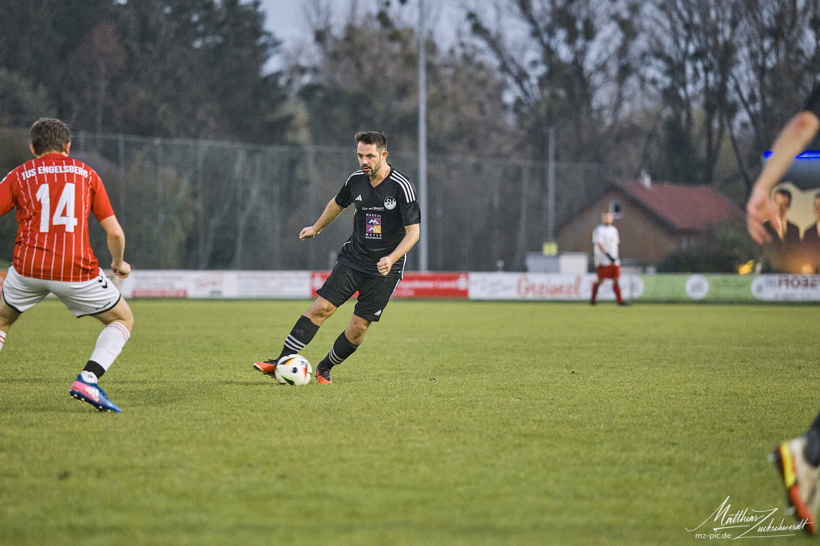 svlii-tsueii-24-10-27-17-10-04.jpg