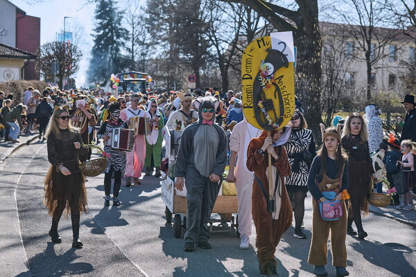 falf-25-03-04-14-17-51