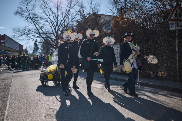 falf-25-03-04-14-29-09