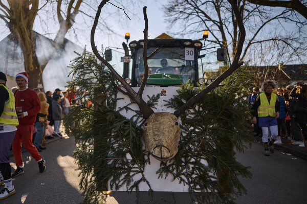 falf-25-03-04-15-15-04