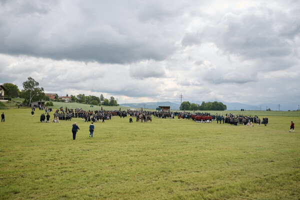 mf-25-05-29-10-19-30