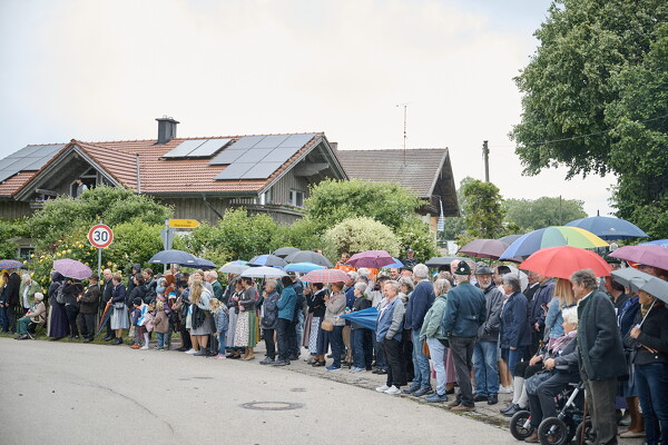 mf-25-05-29-11-44-23