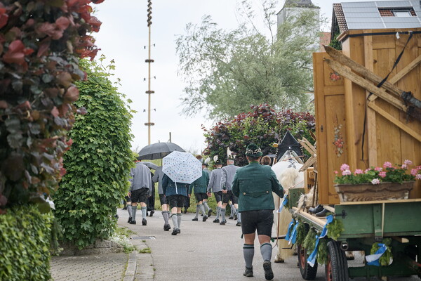 mf-25-05-29-11-46-16