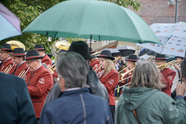 mf-25-05-29-11-49-30