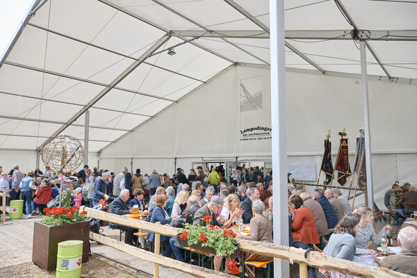 mf-25-05-29-12-32-43