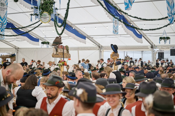 mf-25-05-29-12-35-19