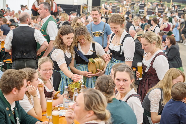 mf-25-05-29-15-11-57