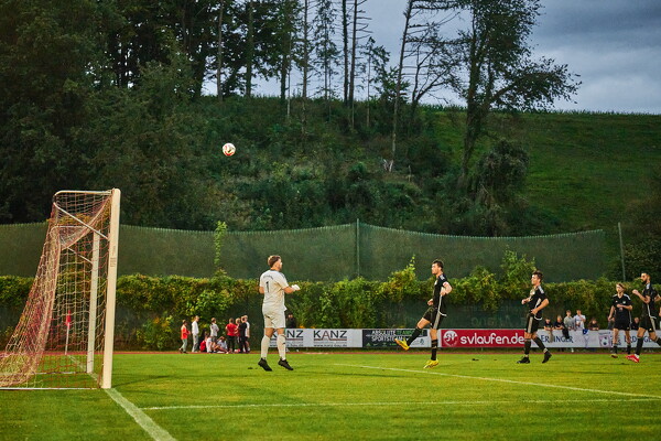 svlii-tsvtii-25-08-29-19-49-10