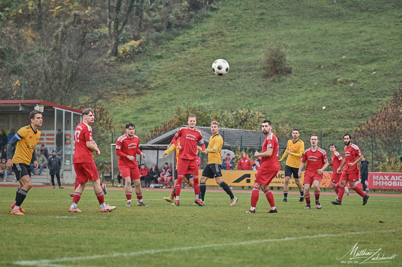 svl-bscs-25-11-02-14-06-50.jpg