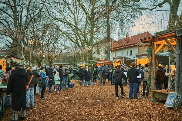 cm-25-11-29-16-15-30