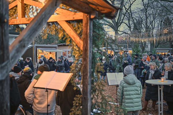 cm-25-11-29-16-15-53