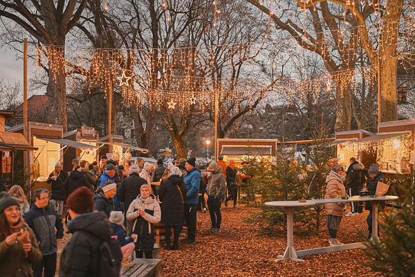 cm-25-11-29-16-36-11