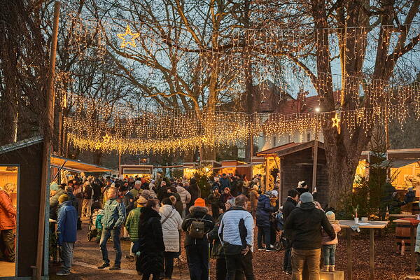 cm-25-11-29-16-37-04