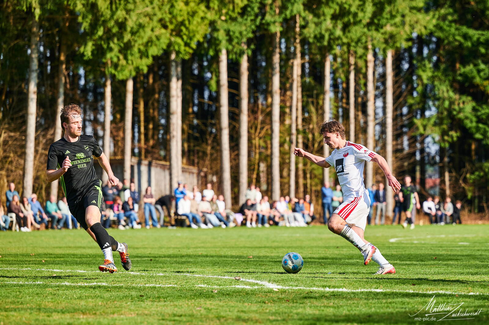svlsvl-26-03-22-15-30-14-39.jpg